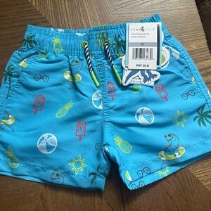 2T Andy & Evan Blue Kids Swim Shorts with Dinosaur Print - Dinos - Summer